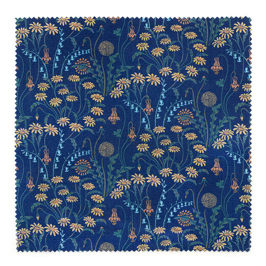 Walter Crane Dulce Domum lens cloth